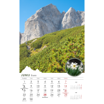 Koledar Slovenske gore 2026 - slika 2