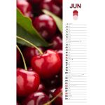 Koledar Barvitost Slovenske narave 2026 - slika 2